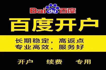 行业领先企业的sem竞价策略：成功案例剖析